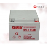 守护神免维护蓄电池12V/24Ah